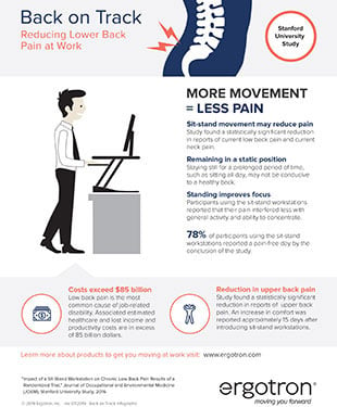 Cómo reducir el dolor lumbar en el trabajo Infographic
