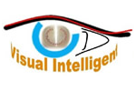 Visual Intelligent Sdn Bhd